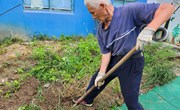 第四周：班级特色《枸杞搬新家》