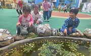 第十八周　班级特色《复习回顾》
