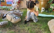 第二周：班级特色《整理小花园》