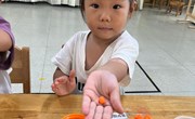 第四周教学活动