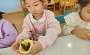 第六周　班级特色《太阳花酥饼》