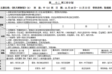 第十二周　周计划