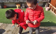 第十六周　 农家乐《给动物喂食》