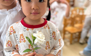 第十五周　班级特色《小满认识栀子花》